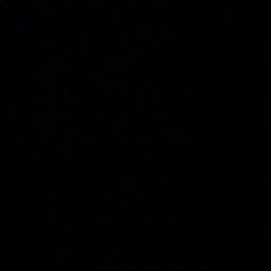 Meet your Posher, Violet